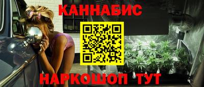 крисы Гатчина