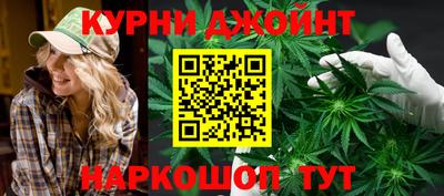 крисы Гатчина