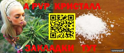 крисы Гатчина