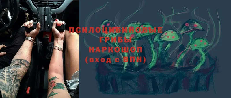 закладка  Нальчик  дарк нет формула  Галлюциногенные грибы Magic Shrooms 