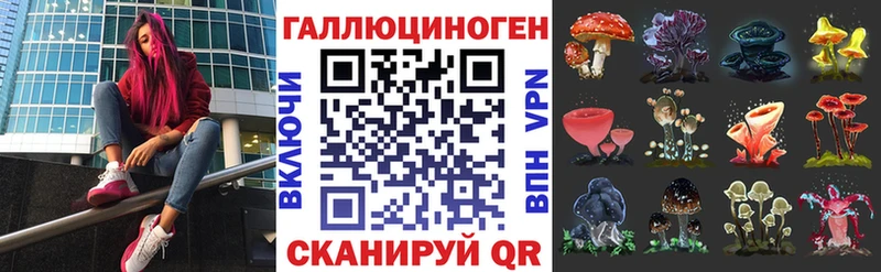 Галлюциногенные грибы Psilocybine cubensis Нальчик